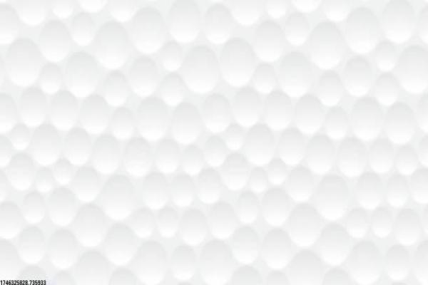 山东体育学院培训班课程安排：提升体育专业